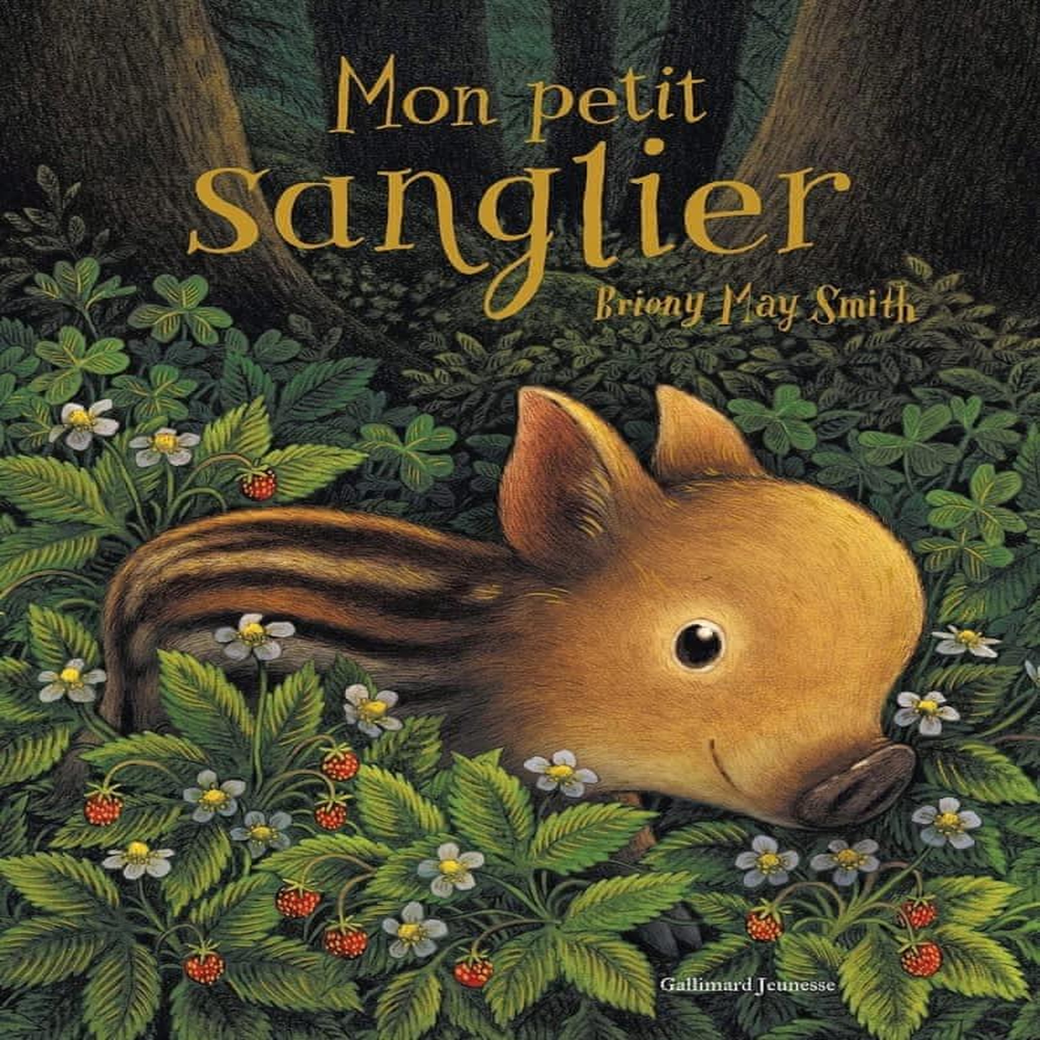 MON PETIT SANGLIER, Smith Briony May