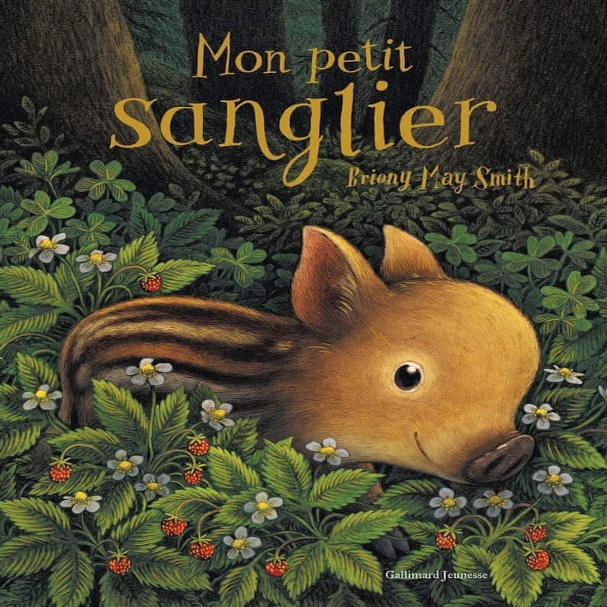 MON PETIT SANGLIER, Smith Briony May