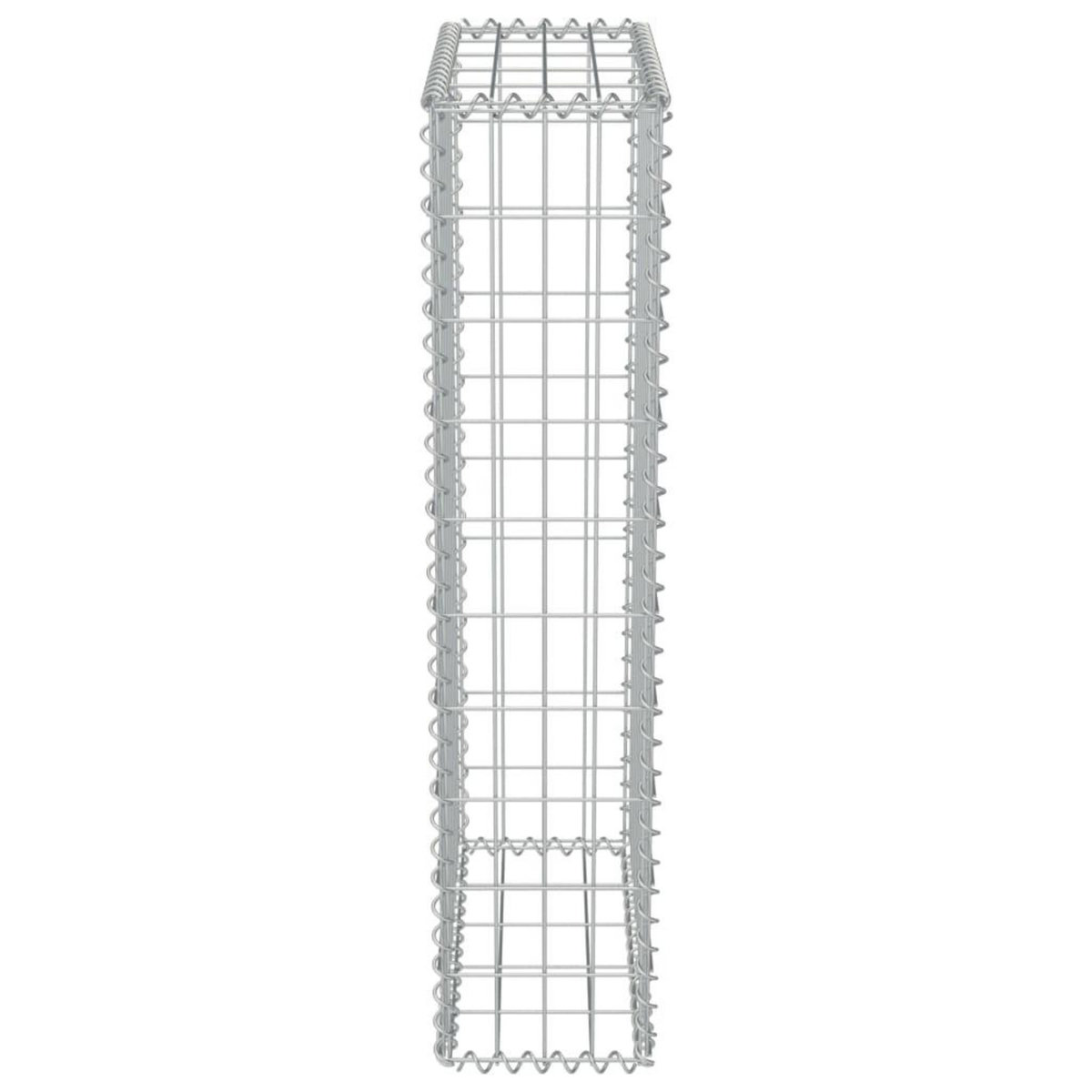 VIDAXL Mur en gabion avec couvercles Acier galvanise 50x20x100 cm