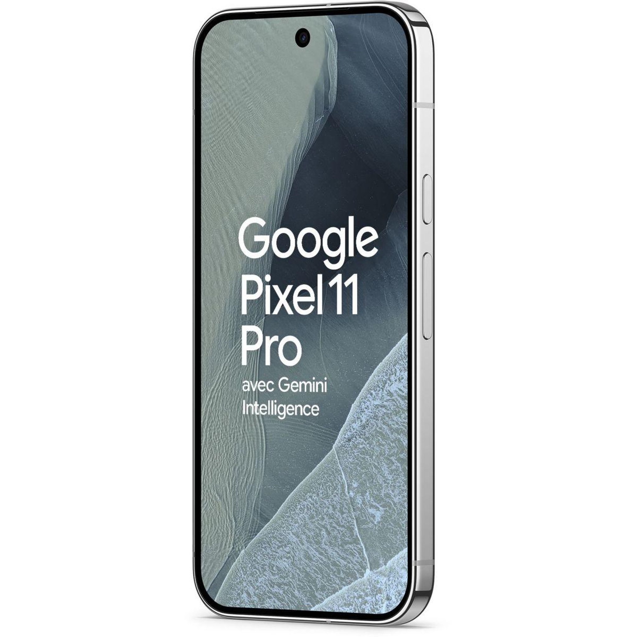 Voir la diapositive 2 : GOOGLE Smartphone Pixel 11 Pro 5G 256Go Brume