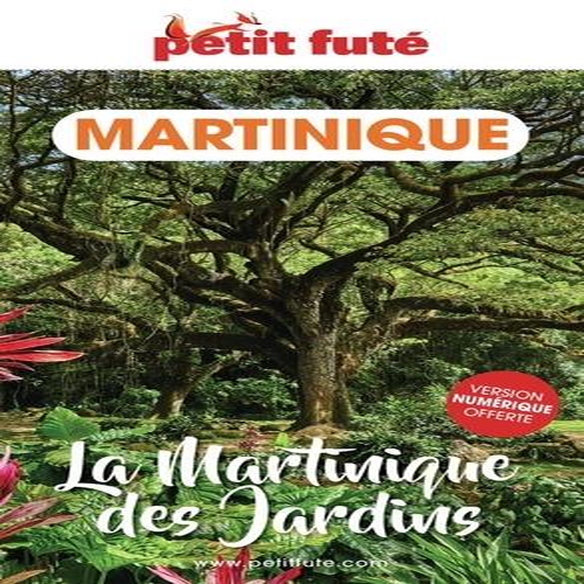 PETIT FUTE LA MARTINIQUE DES JARDINS, Petit Futé