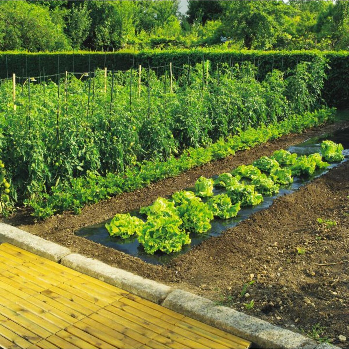 Nortene Film de paillage 1.4 x 5 TERRAFILM