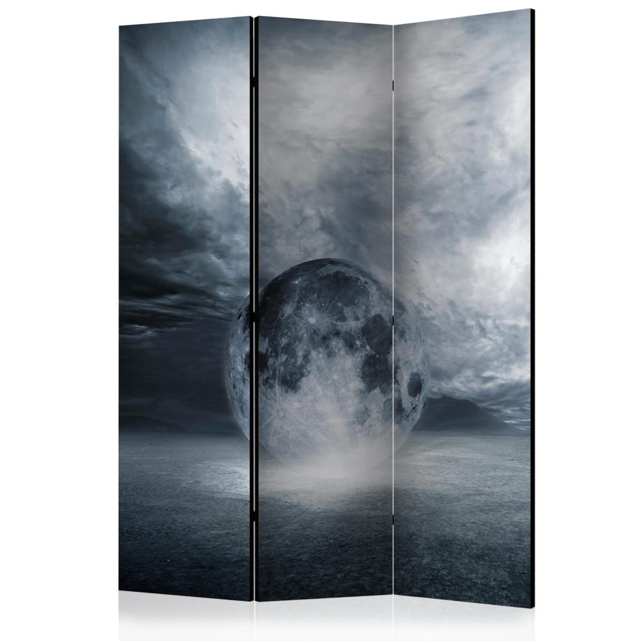 Paris Prix Paravent 3 volets  the lost planet  135x172cm
