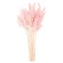 Voir la diapositive 3 : RICO DESIGN Lagurus séchés rose - 45 cm