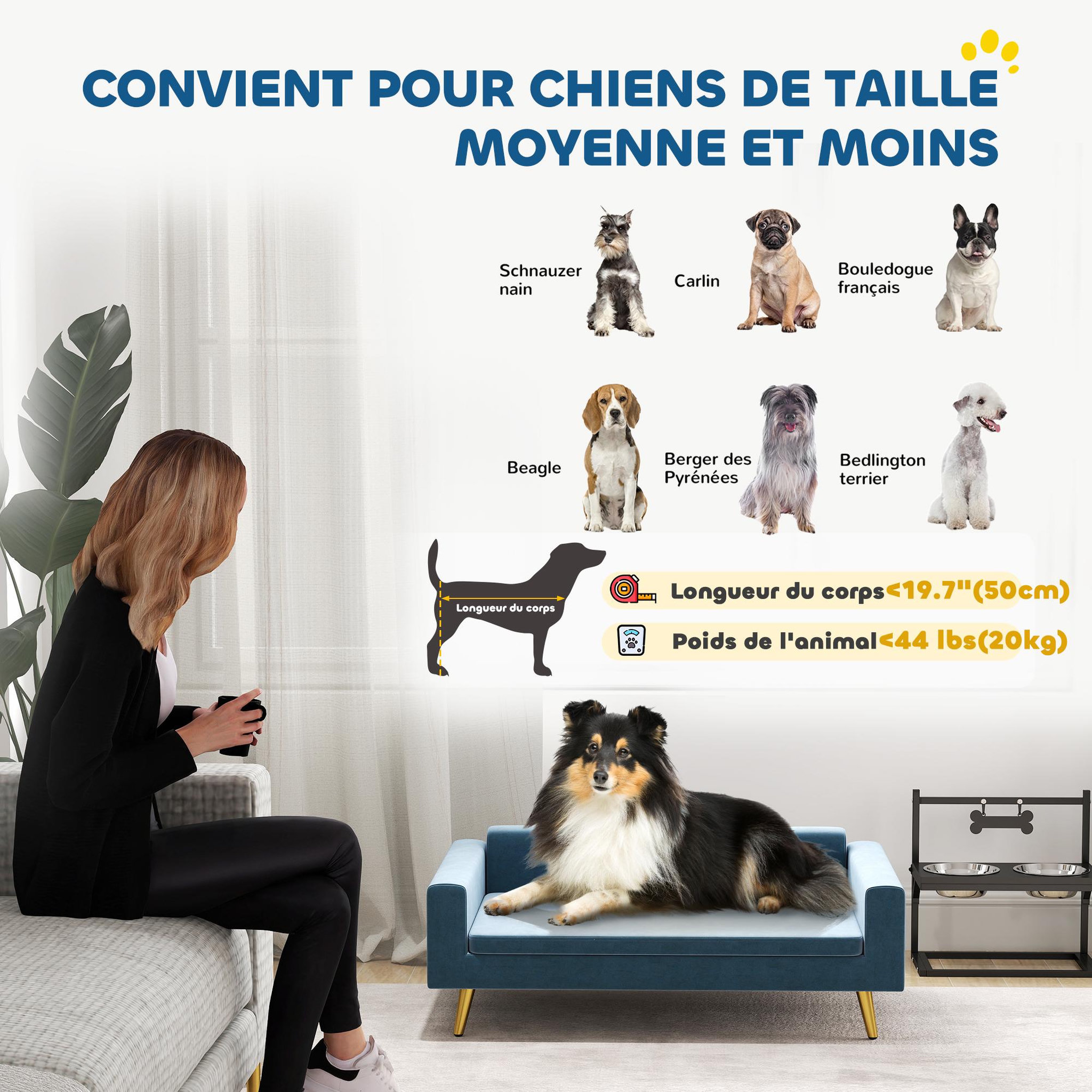 Voir la diapositive 4 : PAWHUT Canapé chien style art déco - dim. 94L x 59l x 31H cm - coussin amovible déhoussable - acier doré velours bleu