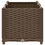 Voir la diapositive 5 : VIDAXL Lit sureleve 80x40x38 cm Polypropylene