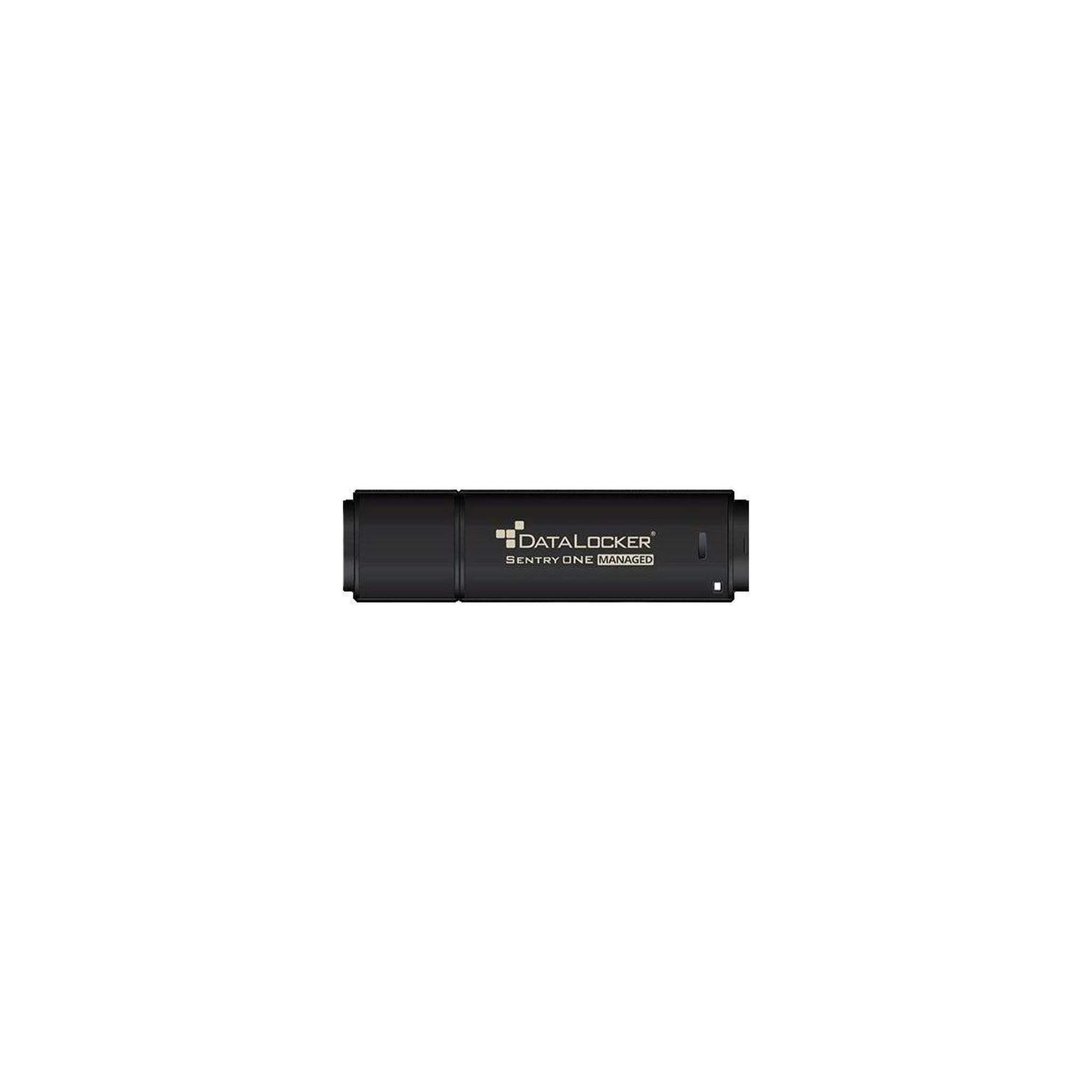 Voir la diapositive 2 : DeLock Clé USB Datalocker Sentry One Managed 8 Go sécurisée