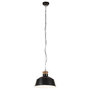 Voir la diapositive 2 : VIDAXL Lampe suspendue industrielle 32 cm Noir E27