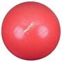 AVENTO Avento Ballon de fitness/d'exercice Diametre 75 cm Rose