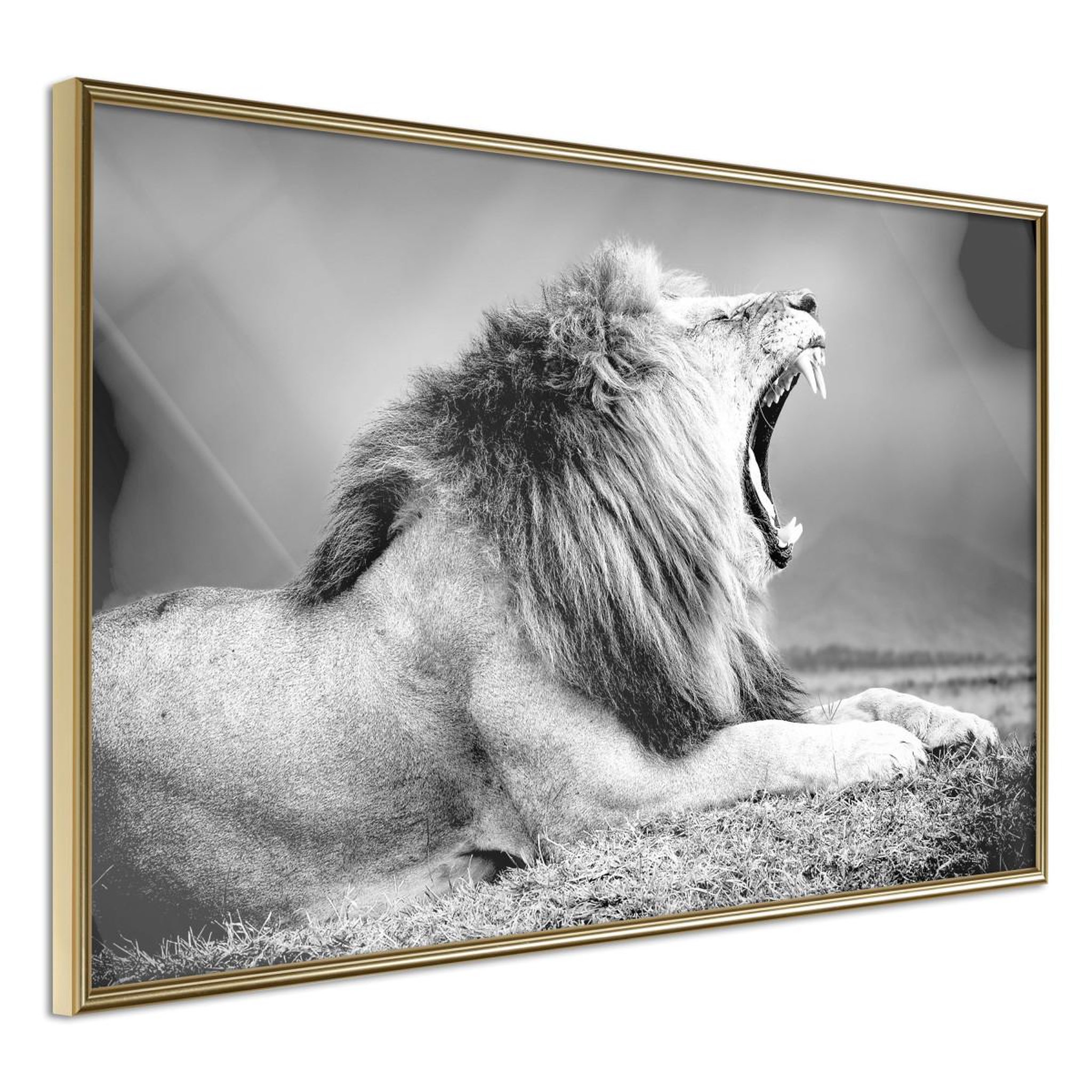 Voir la diapositive 1 : Paris Prix Affiche Murale Encadrée  Yawning Lion