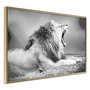 Voir la diapositive 1 : Paris Prix Affiche Murale Encadrée  Yawning Lion
