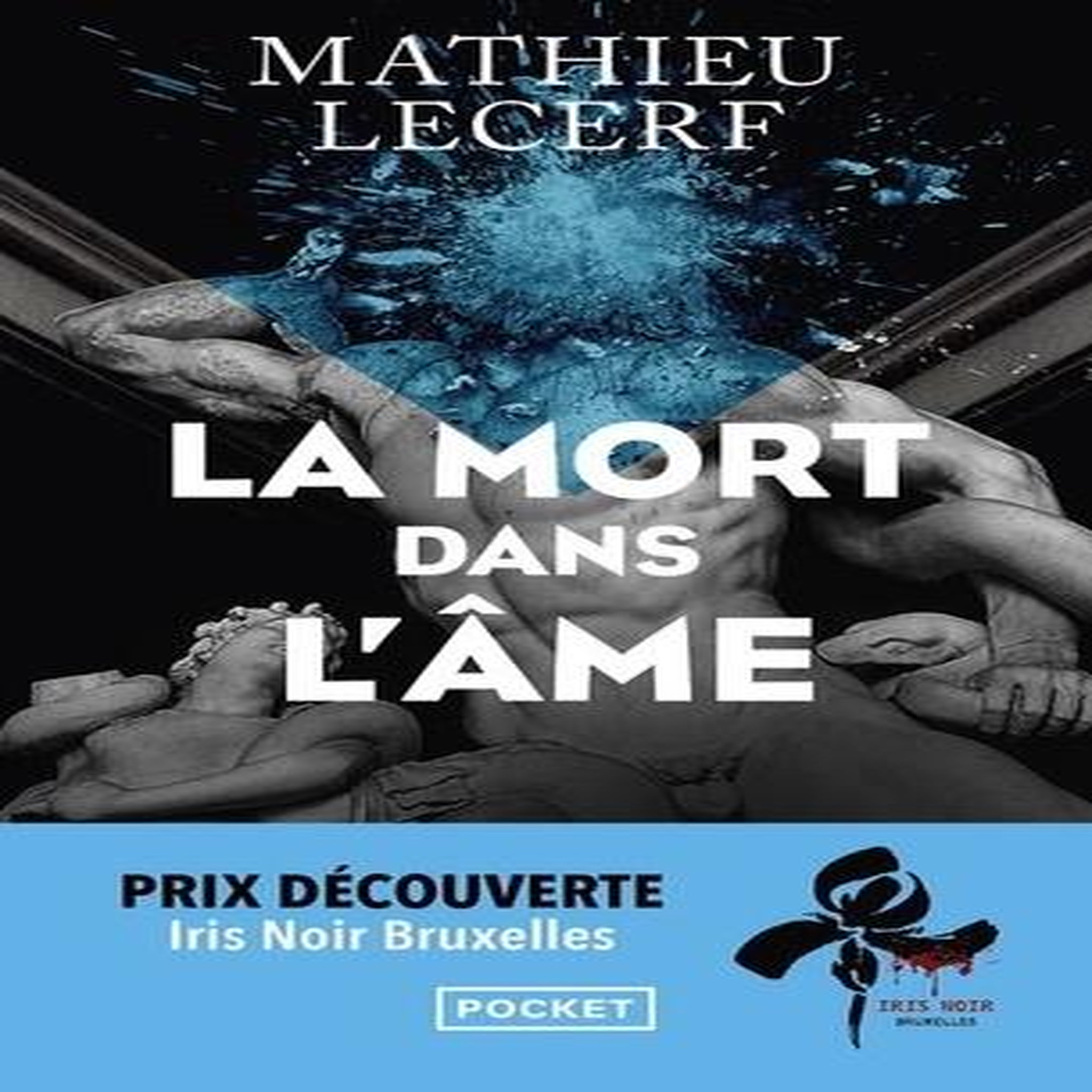LA MORT DANS L'AME, Lecerf Mathieu