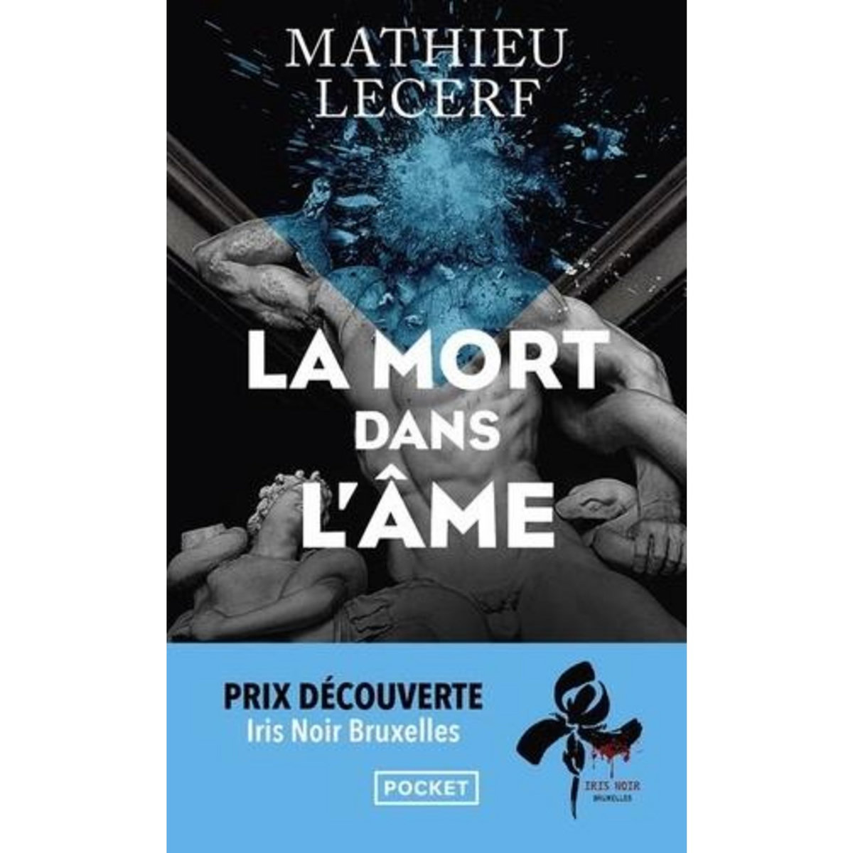 LA MORT DANS L'AME, Lecerf Mathieu