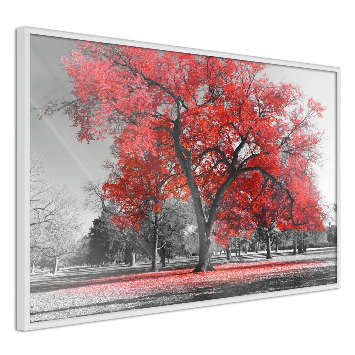 Paris Prix Affiche Murale Encadrée  Red Tree