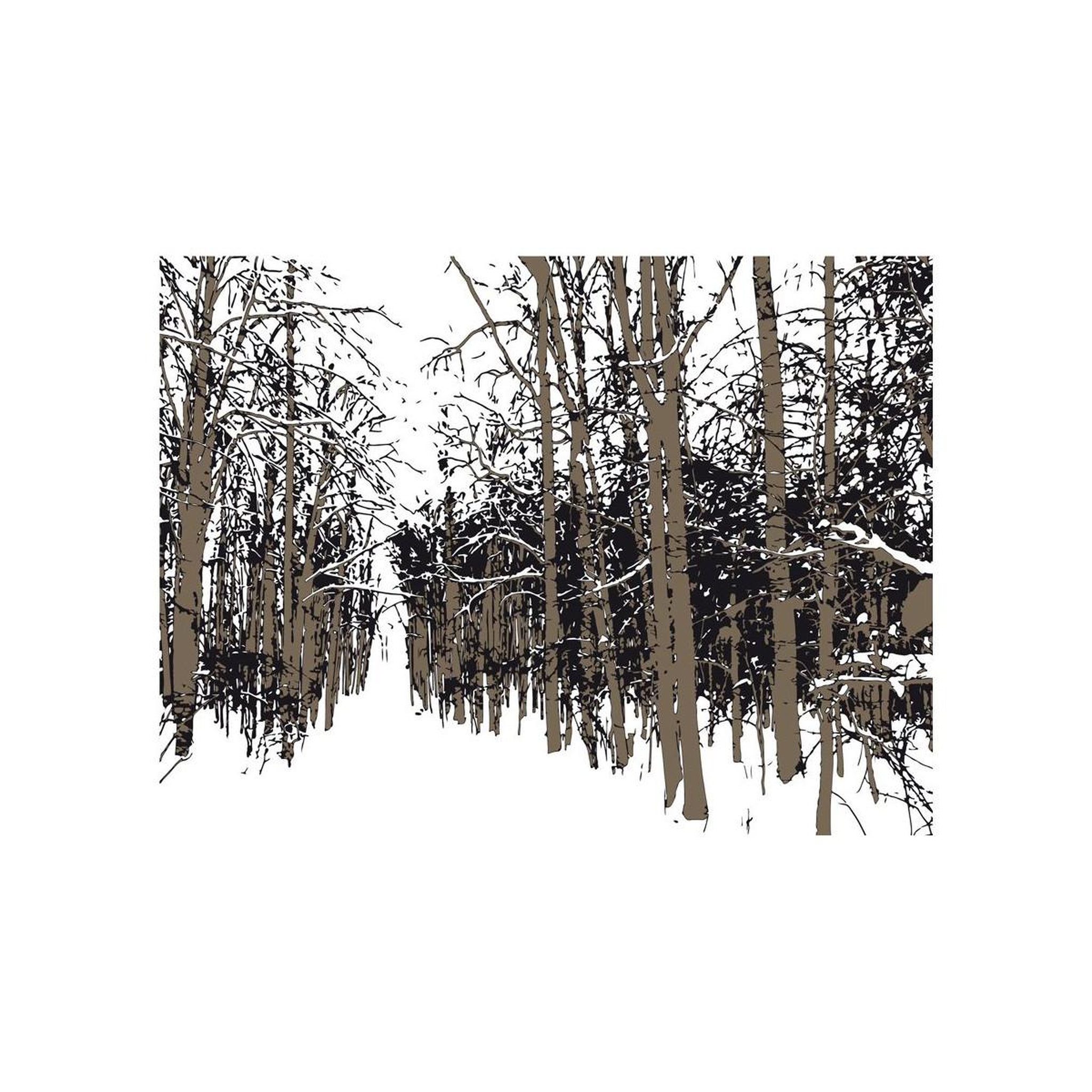 Voir la diapositive 2 : Paris Prix Papier Peint  Arbres Automne
