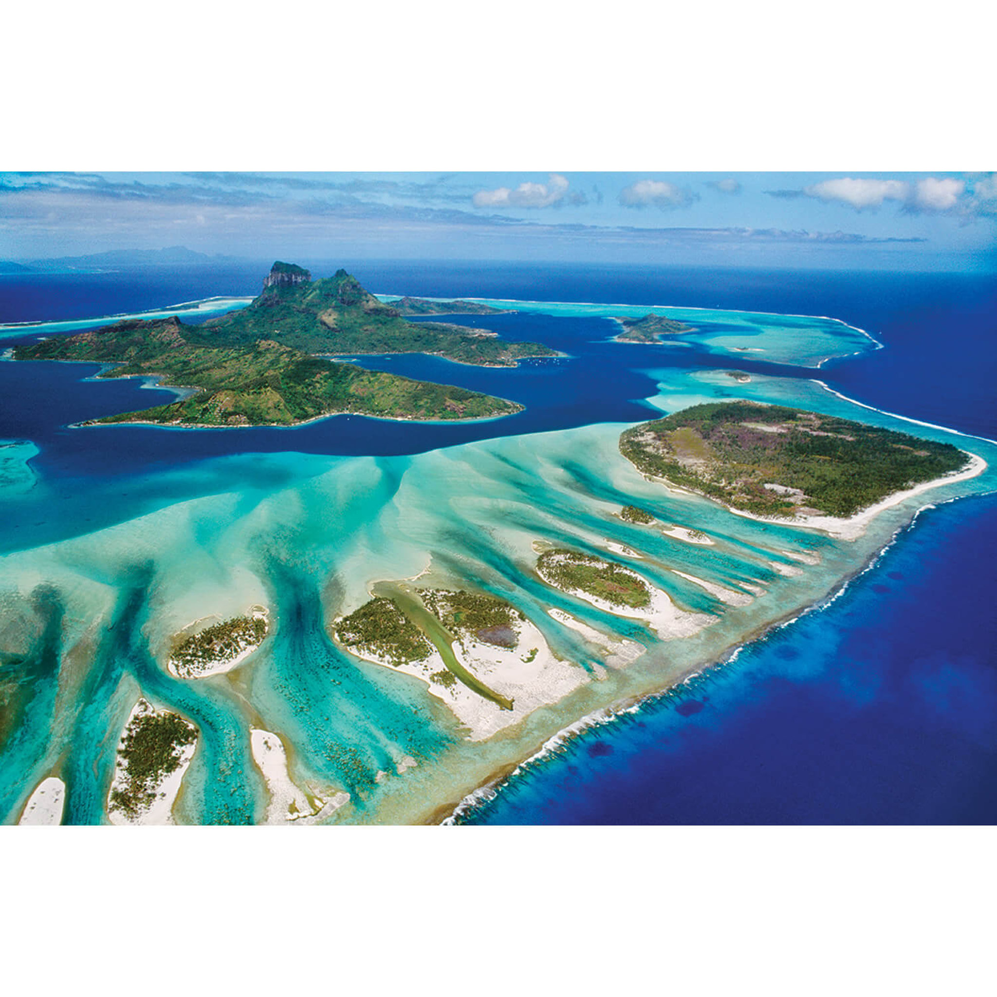 Voir la diapositive 1 : Eurographics Puzzle 1000 pièces : Save the planet : Récif de corail
