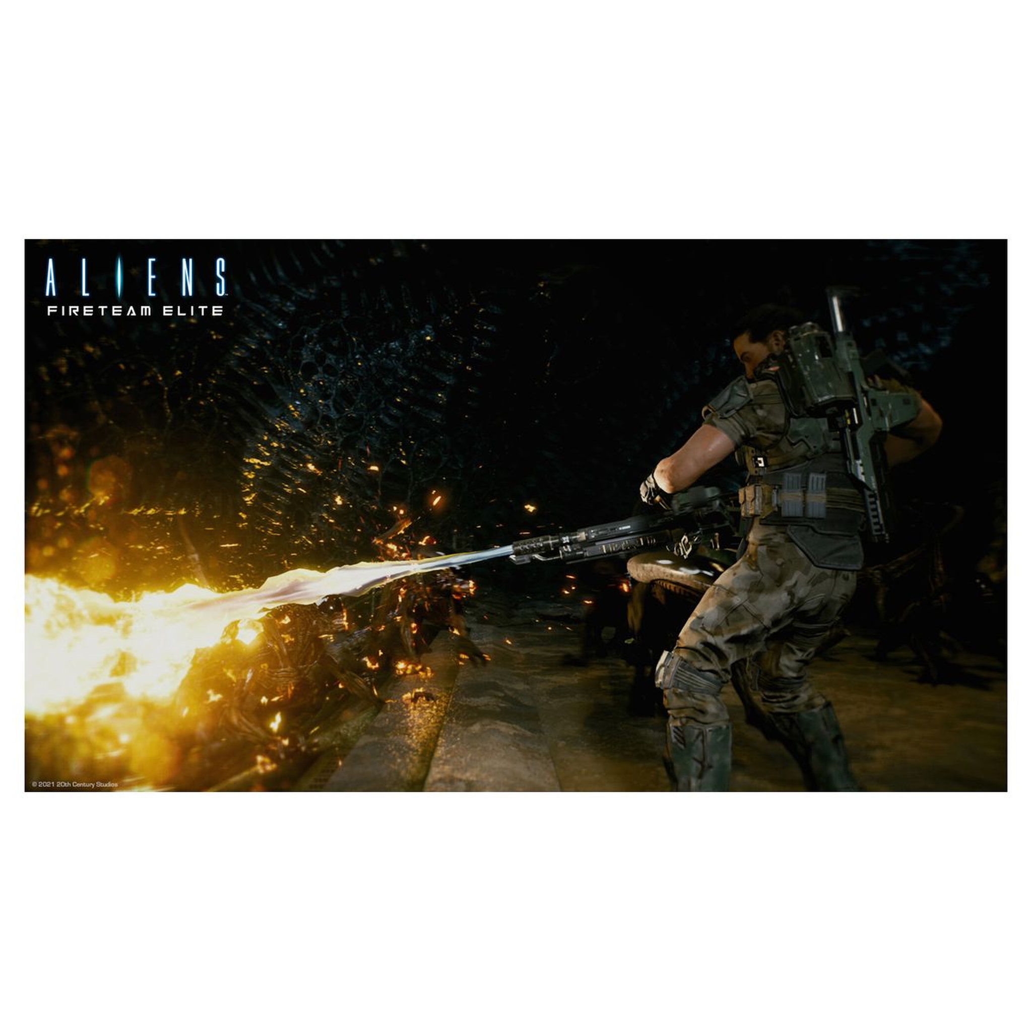 Voir la diapositive 2 : Aliens Fireteam Elite PS5
