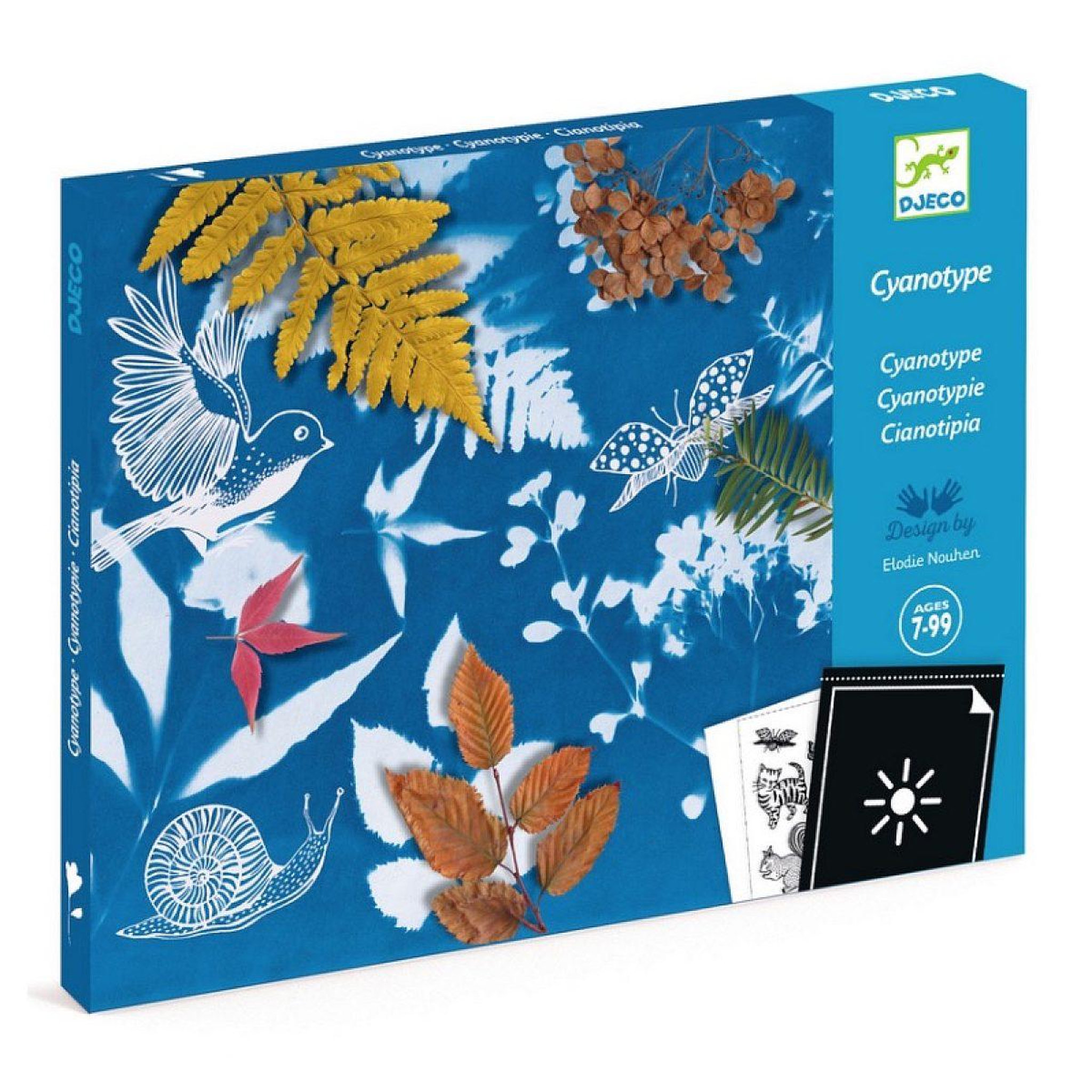 Djeco Cyanotype starter kit - fsc mix