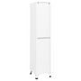 Voir la diapositive 5 : VIDAXL Armoire a casiers Blanc 38x40x180 cm Acier