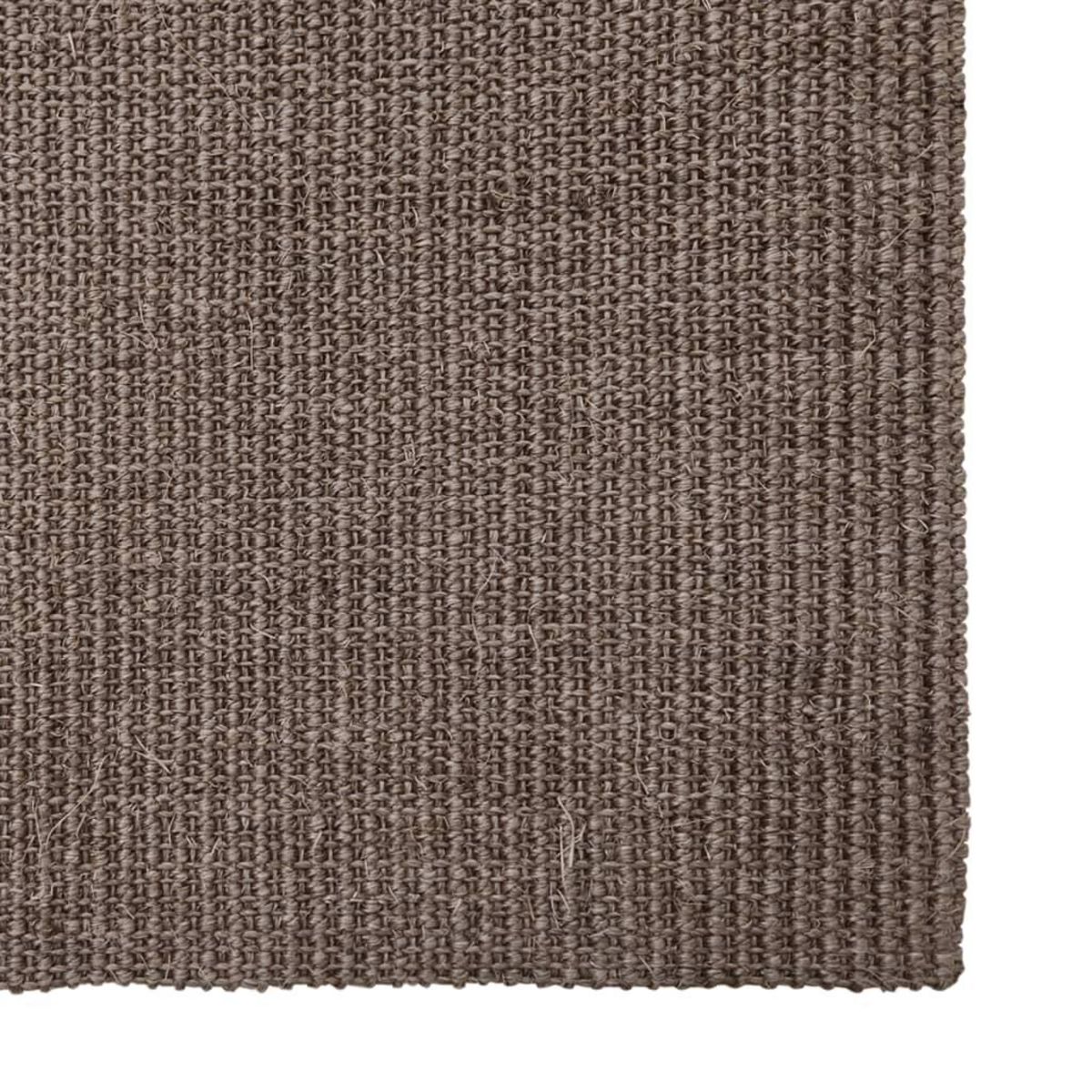 VIDAXL Tapis Sisal naturel 66x250 cm Marron