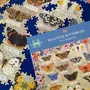 Gibsons Puzzle 1000 pièces : Beaux papillons