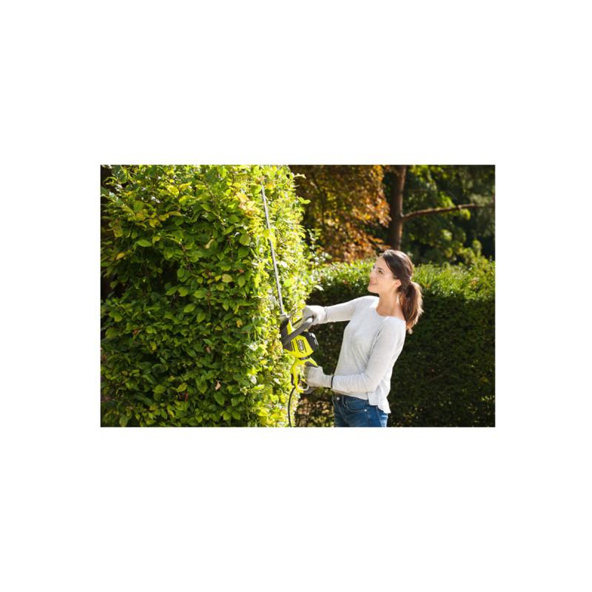 Voir la diapositive 2 : Ryobi Taille-haies électrique ryobi 550w - rht5655rs