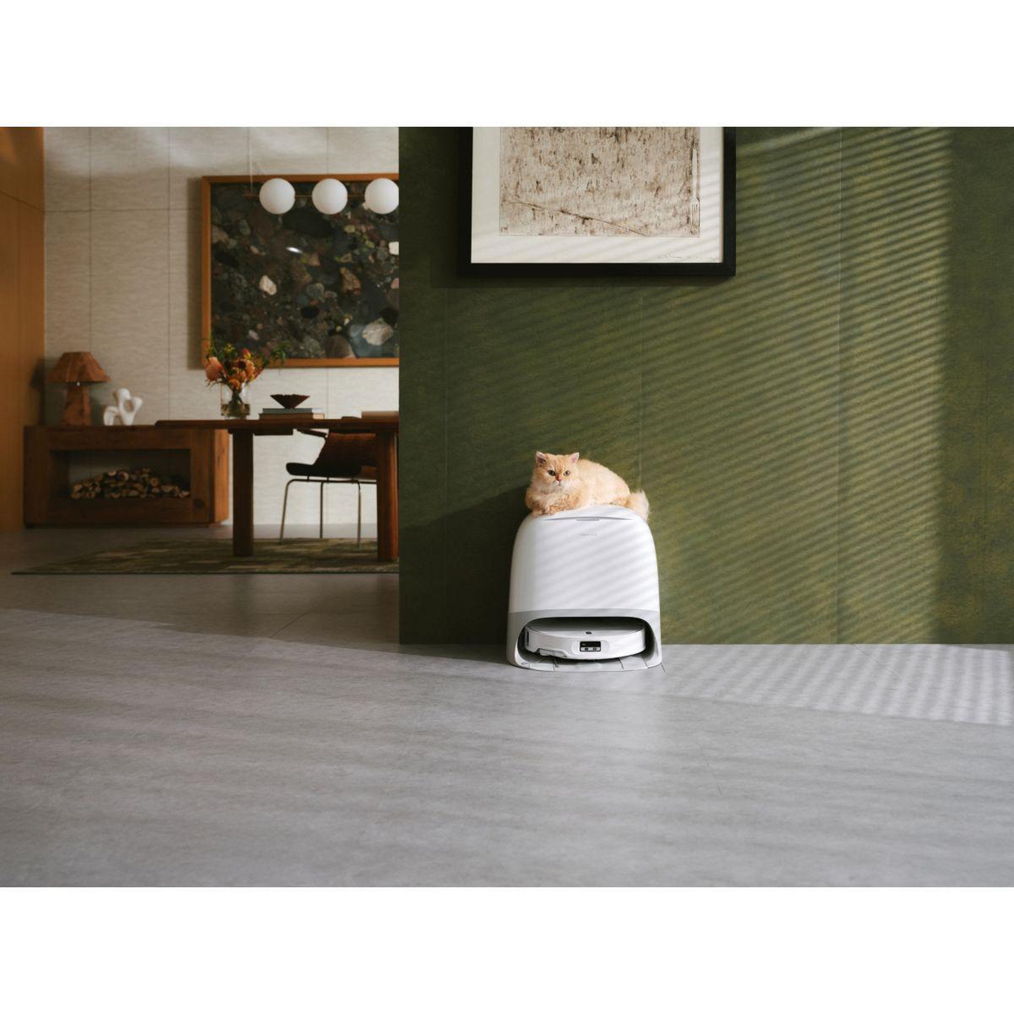 Voir la diapositive 5 : ROBOROCK Robot aspirateur laveur qrevo curv 2 prox blanc