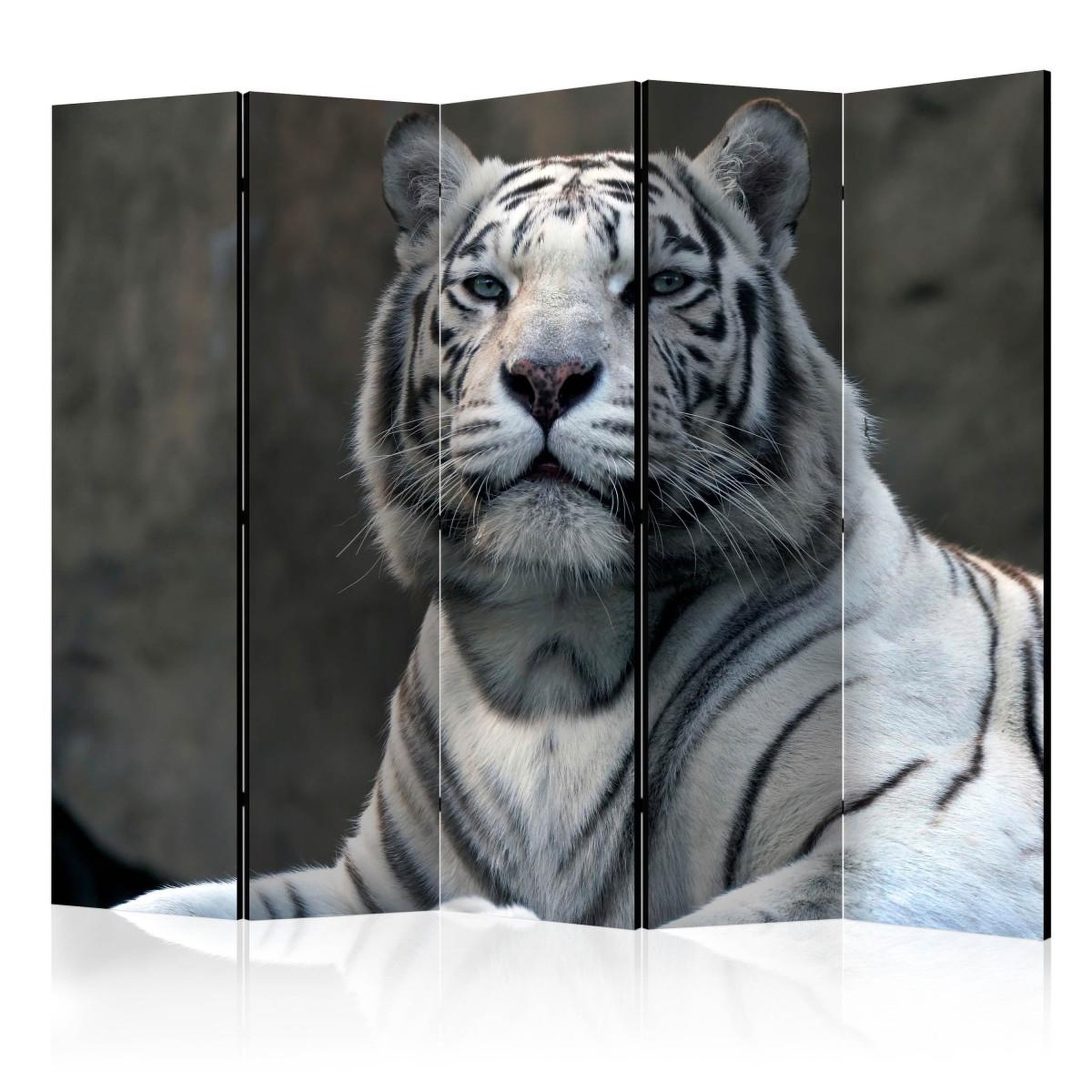 Paris Prix Paravent 5 volets  bengali tiger in zoo  172x225cm