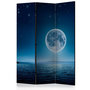 Voir la diapositive 1 : Paris Prix Paravent 3 Volets  Moonlit Night  135x172cm