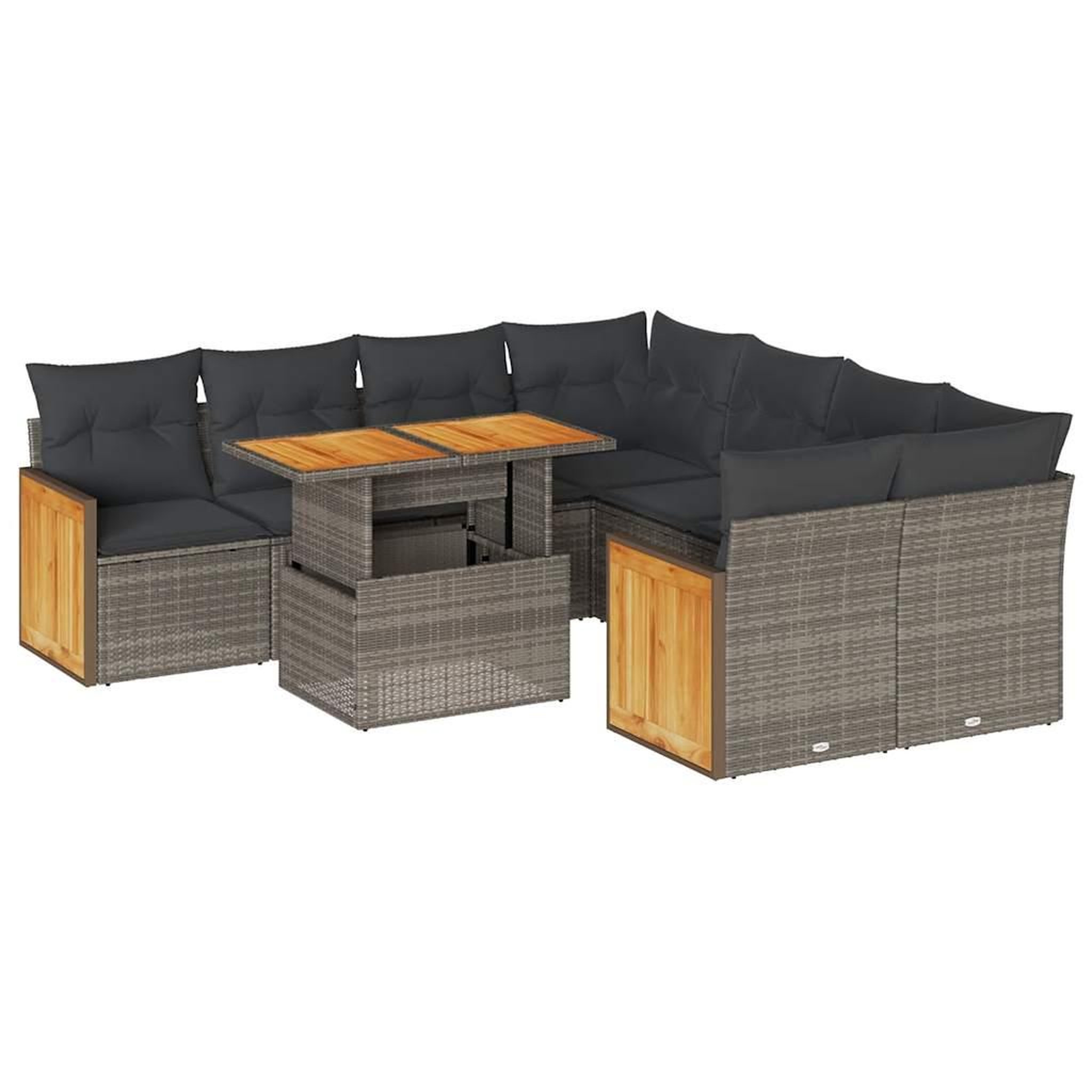 Voir la diapositive 2 : VIDAXL Salon de jardin avec coussins 9 pcs gris resine tressee acacia