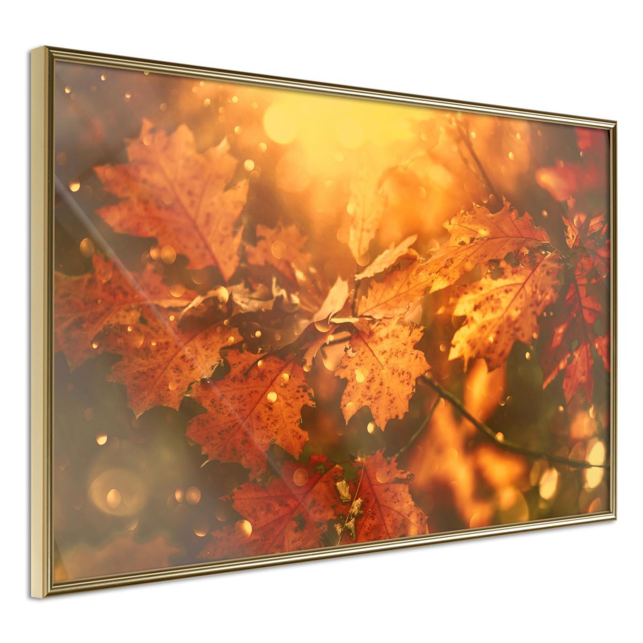 Voir la diapositive 1 : Paris Prix Affiche Murale Encadrée  Golden Autumn