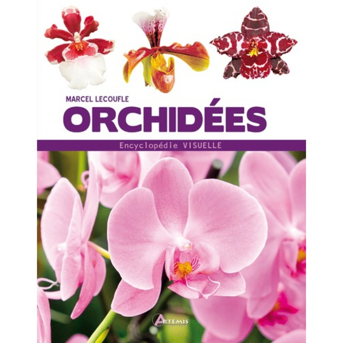  ORCHIDEES, Lecoufle Marcel