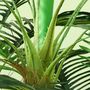 Voir la diapositive 5 : HOMCOM Palmier artificiel H.1,6 m arbre artificiel tronc branches lichen feuilles grand réalisme pot inclus