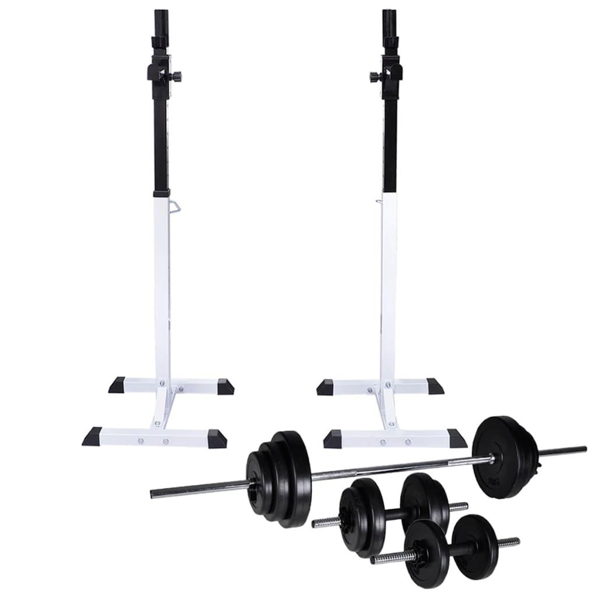 VIDAXL Support d'halteres avec jeu d'halteres et de poids 30,5 kg