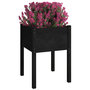 Voir la diapositive 3 : VIDAXL Jardinieres 2 pcs Noir 50x50x70 cm Bois de pin massif