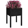 Voir la diapositive 3 : VIDAXL Jardinieres 2 pcs Noir 50x50x70 cm Bois de pin massif