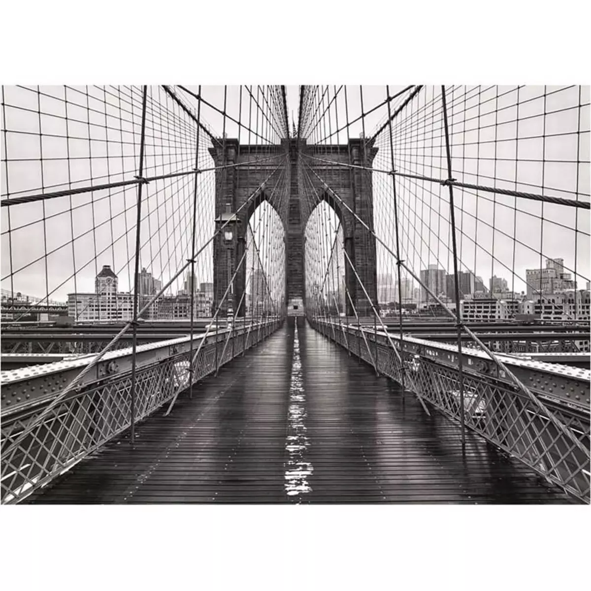 DINO Puzzle 1000 pièces : New York, en Noir et blanc