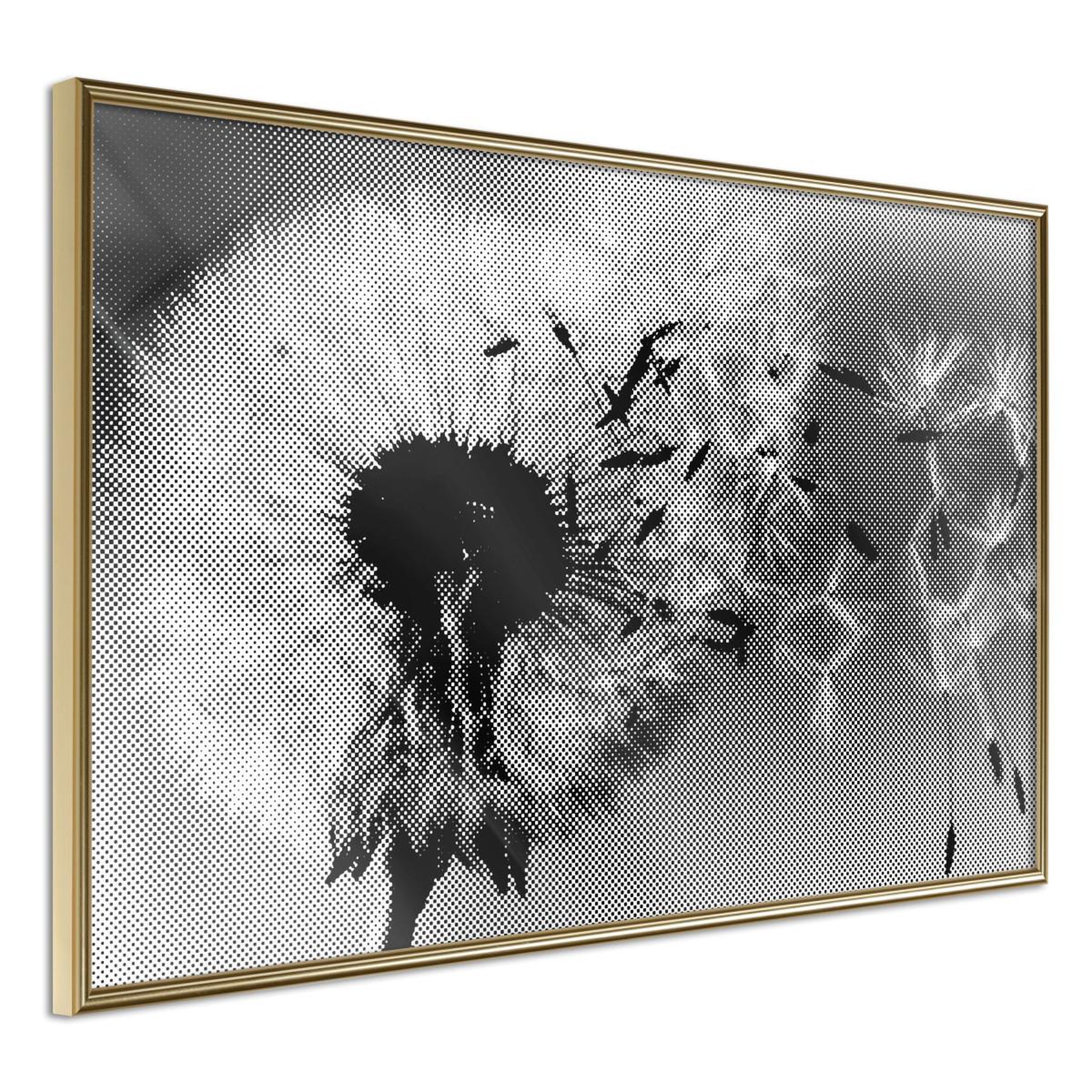 Paris Prix Affiche murale encadrée  dandelion in the wind