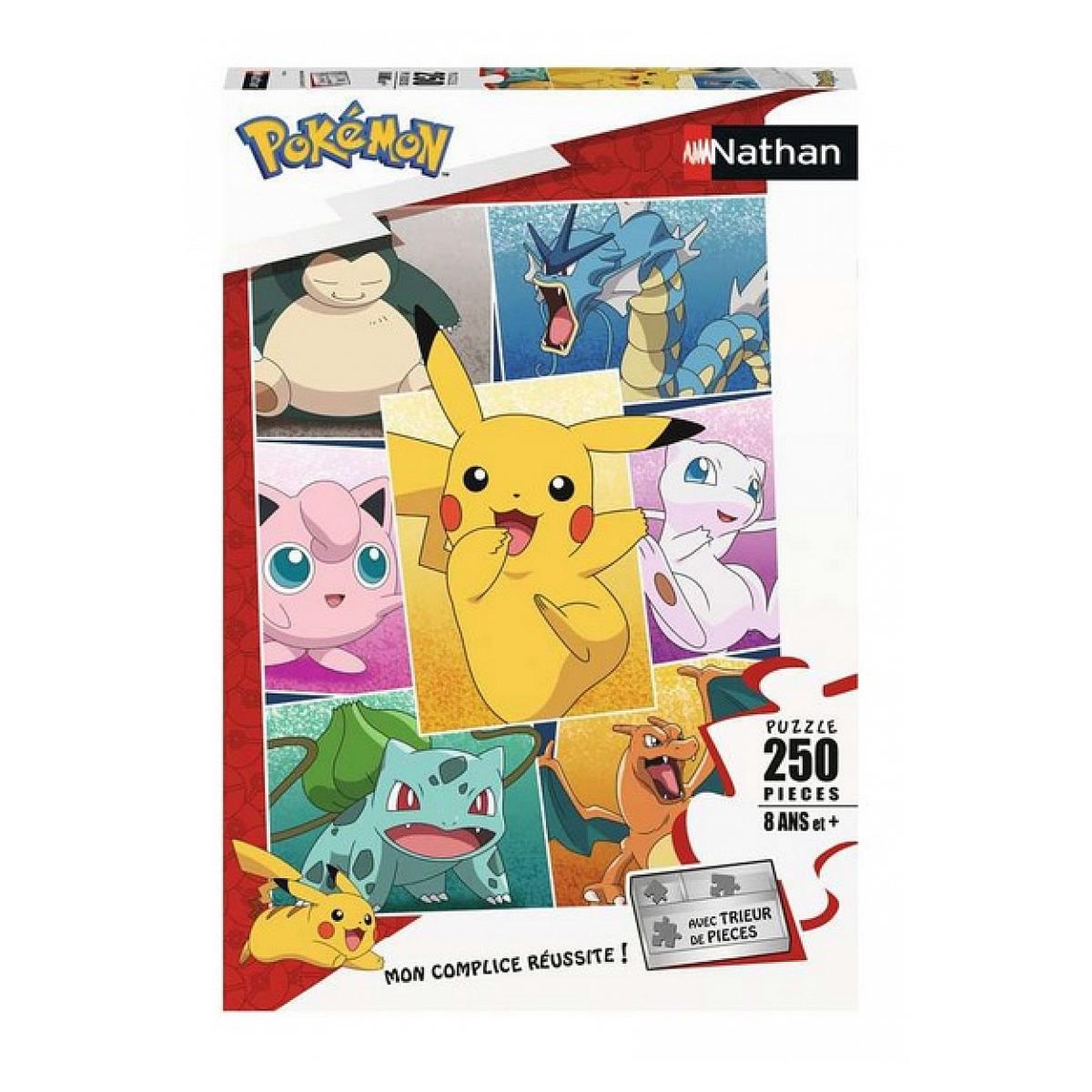 Nathan Puzzle Types de Pokemon 250 pieces