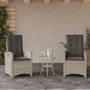 Voir la diapositive 1 : VIDAXL Chaises inclinables jardin lot de 2 et coussins resine tressee