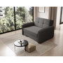 Voir la diapositive 6 : BEST MOBILIER Michelle - fauteuil convertible avec coffre en velours