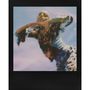 Voir la diapositive 3 : POLAROID Papier photo instantané Go cadre noir double pack (X16)