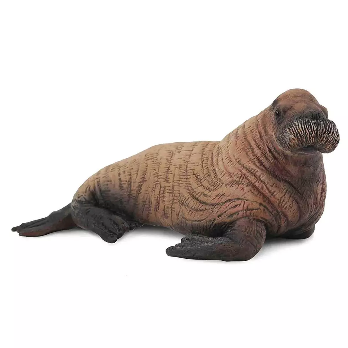 Figurines Collecta Figurine animaux marins : Bébé morse