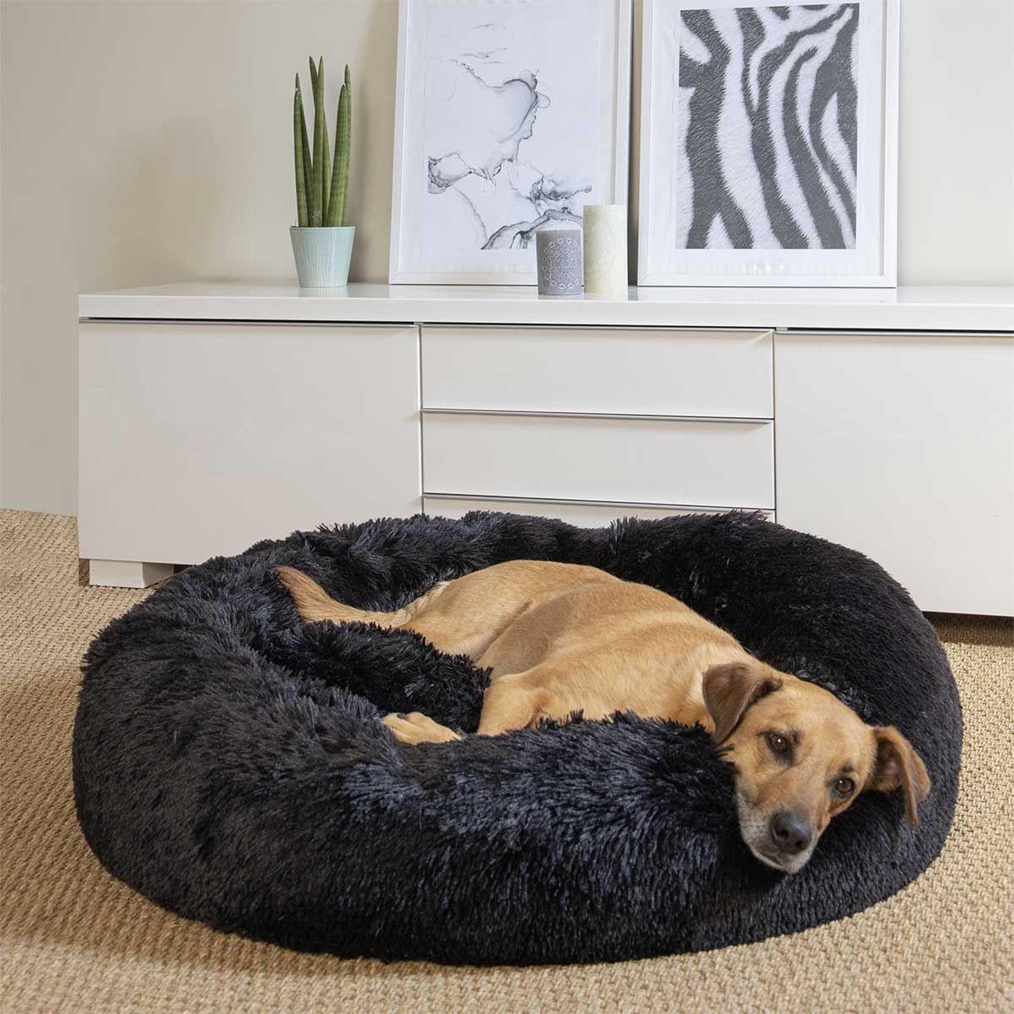 Voir la diapositive 2 : LOVE STORY Panier Rond Chien & Chat  Fluffy  95cm Noir