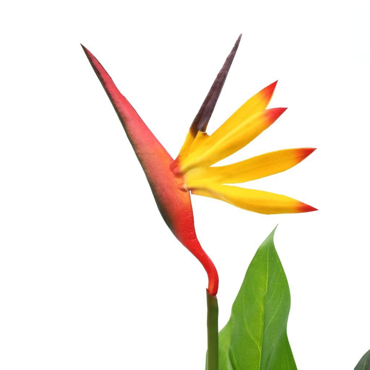 VIDAXL Plante artificielle Strelitzia Reginae Oiseau de Paradis 66 cm