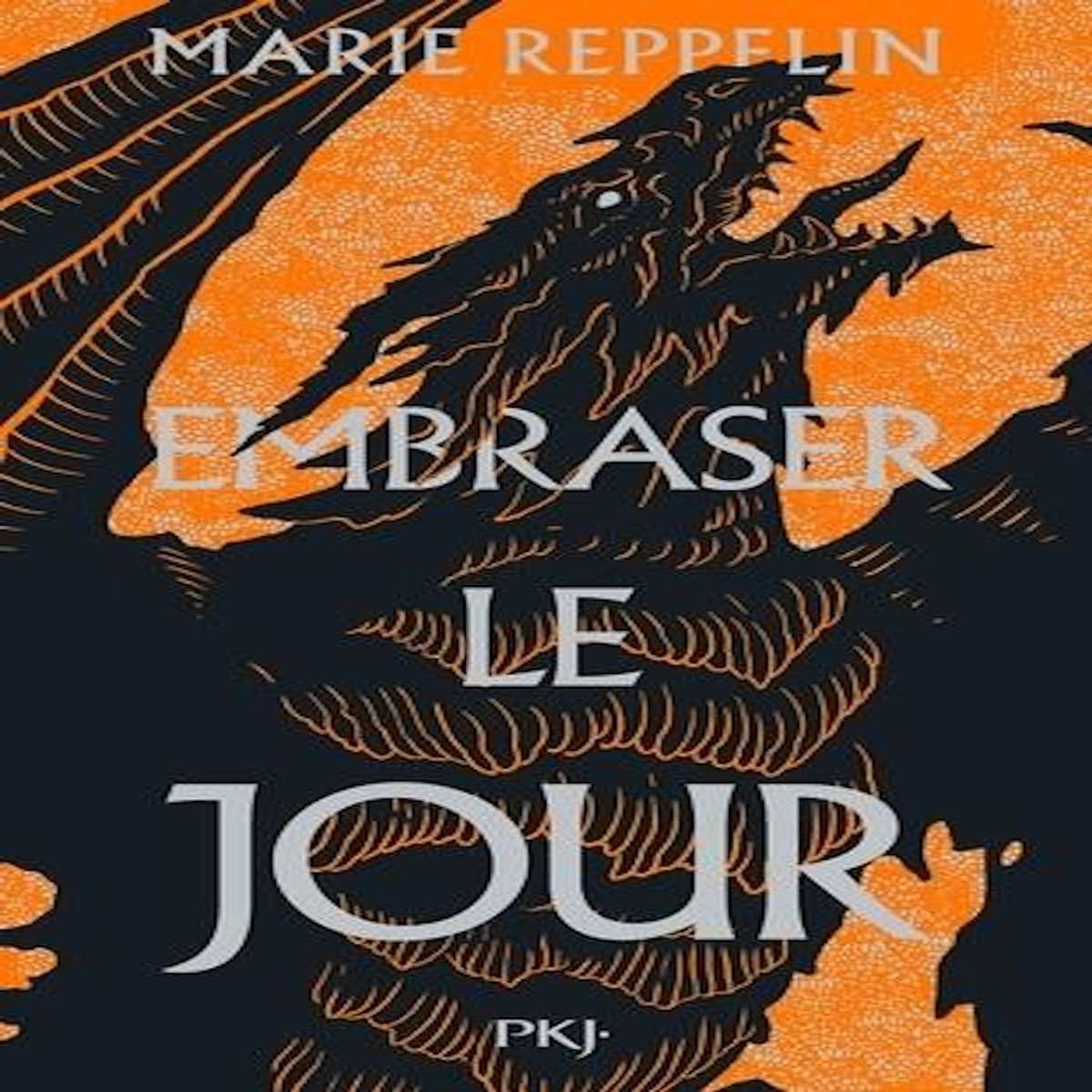 AFFRONTER LA NUIT TOME 2 : EMBRASER LE JOUR, Reppelin Marie