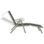 Voir la diapositive 5 : VIDAXL Chaise longue pliable Textilene et aluminium noir et argente