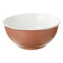 Voir la diapositive 2 : SECRET DE GOURMET Lot de 6 Bols en Porcelaine  Nature  52cl Terracotta