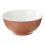 Voir la diapositive 2 : SECRET DE GOURMET Lot de 6 Bols en Porcelaine  Nature  52cl Terracotta