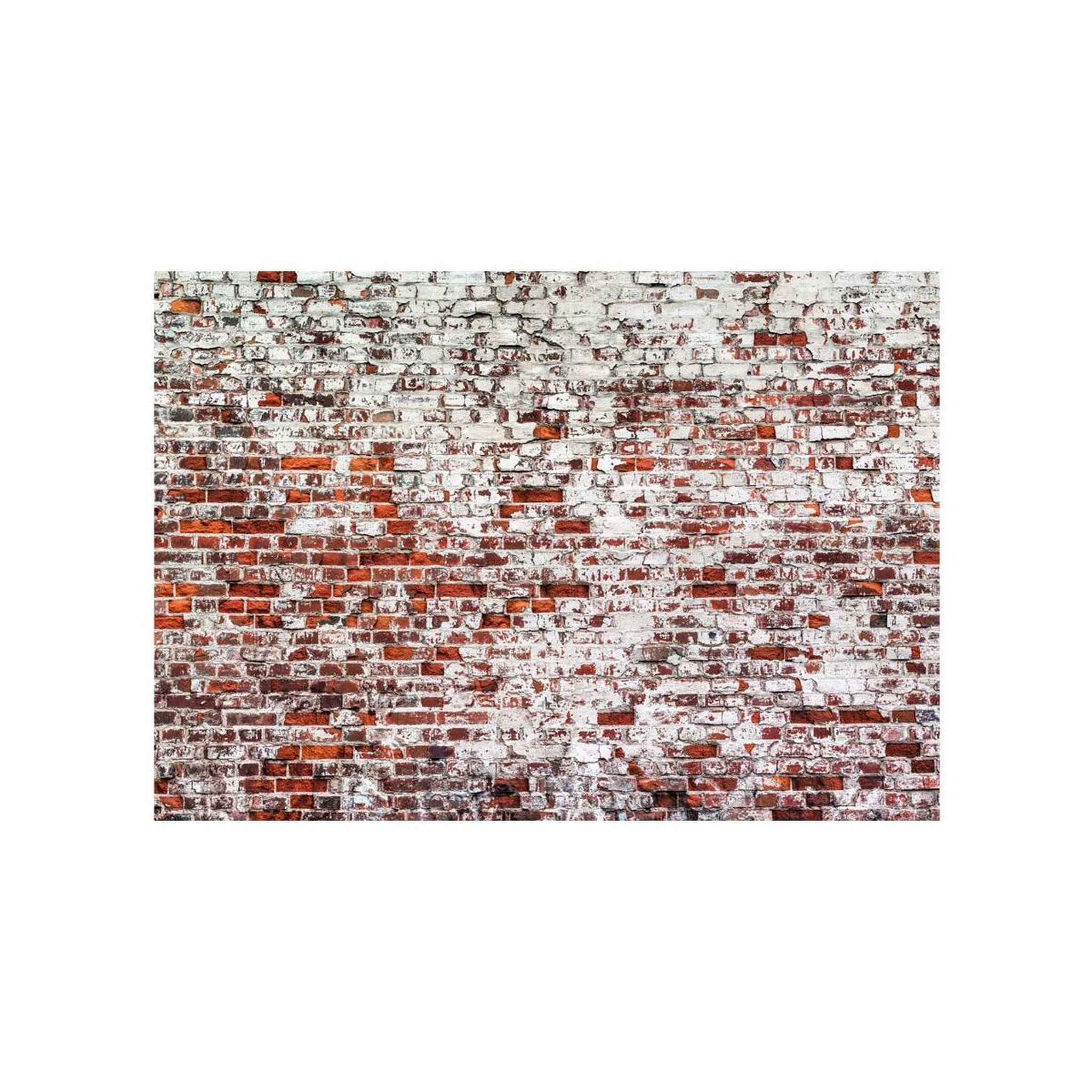 Voir la diapositive 2 : Paris Prix Papier peint  her highness the brick
